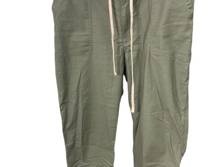 Pants Ankle By Loft In Green, Size: 14 Online Sale