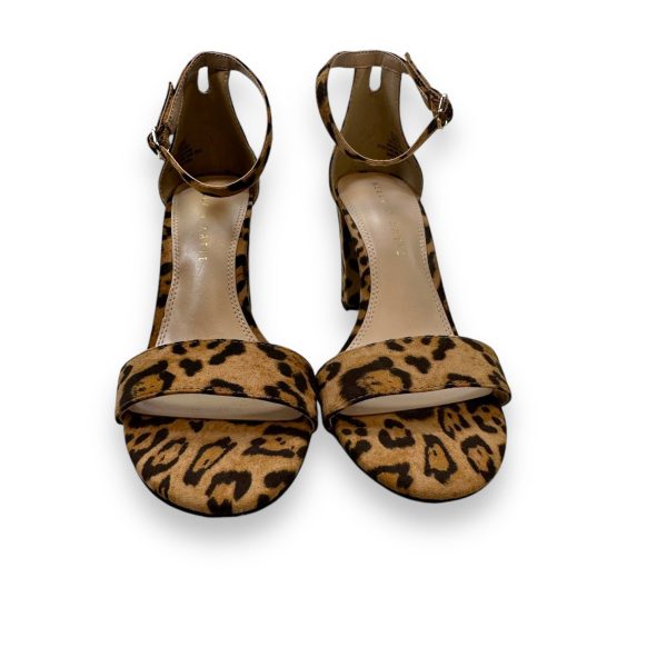 Shoes Heels Block By Kelly And Katie In Animal Print, Size: 7 Fashion