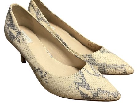 Shoes Heels Kitten By Cole-haan In Snakeskin Print, Size: 6 Supply